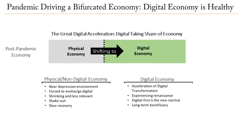 Pandemic Driving a Bifurcated Economy